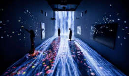 沉浸式视频,探索沉浸式视频的无限魅力